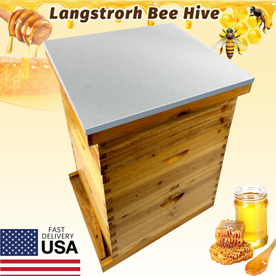 3 Layers Beehive Complete Box Kit Langstroth Beekeeping 2 Deep and 1 Medium-image