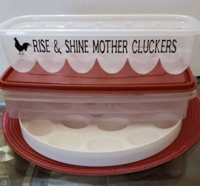 Egg Trays Rubbermaid Storage Container Chicken Stuff Pastry Tray Lid  Eggtray-image