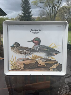 Design Imports J.J. Audubon Green Winged Teal Duck Melamine Tray  Italy-image