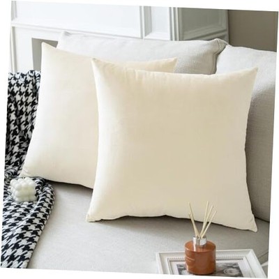 Set of 2 Colored Cozy Velvet Throw Pillow 18