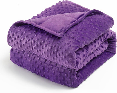 Minky Dot Weighted Blanket for Adults King Size 15 Lbs, Soft Cozy Heavy Blanket -image