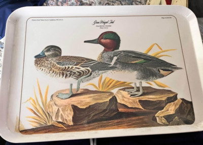 Design Imports LTD Green Winged Teal Mallard Duck 12