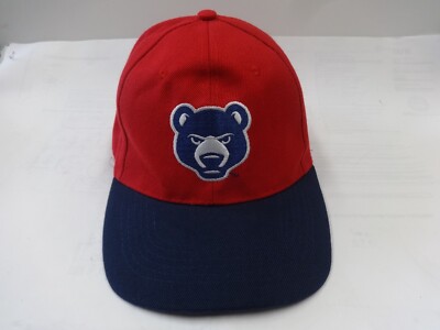 Vintage SGA MiLB South Bend Cubs Men Adj Strap OSFA Ballcap Four Winds Field-image
