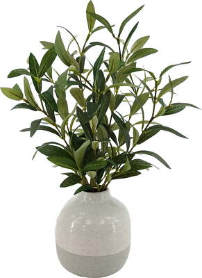 Better Homes & Gardens 14in Indoor Artificial Olive Plant in 2-Tone Ceramic Vase-image