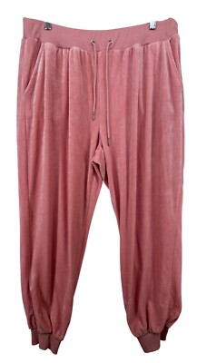 Tantrums Women Jogger Pant Sz XL Pink Velour Cozy Comfy SoftAF GrannyCore Casual-image