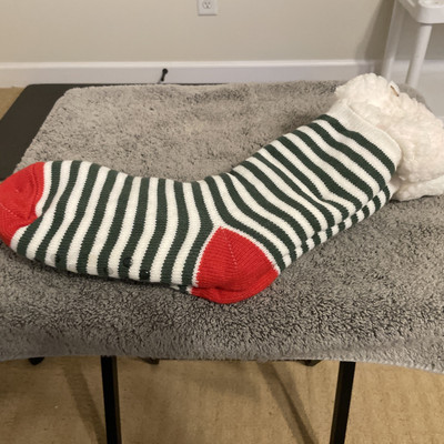 NEW Cozy Socks Womens Size 9-11 Holiday, Style Red, White Green-image