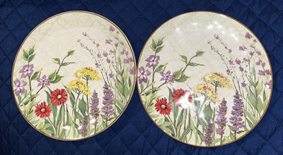 Pier 1 Imports~**Botanical Garden** Earthenware~Plates~@9”~Set of 2~PLEASE READ*-image
