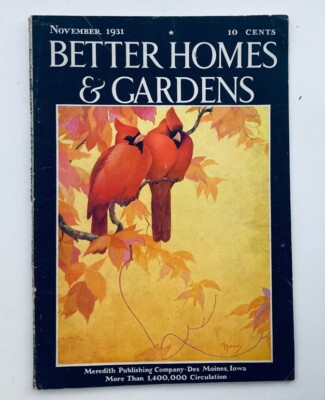 VTG Better Homes & Gardens Magazine November 1931 A Bit of Florida Loveliness-image
