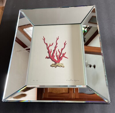 Coral Print in Mirror Frame 13.5” X 11.5”Pine and Design Imports -image