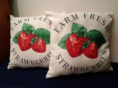 Mainstays OutdoorPillows Set of 2 White/Red 