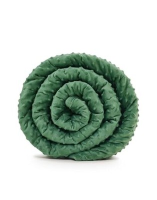  Minky Weighted Blanket | 40''x60'',10lbs | Cozy and Soft Minky Weighted Throw -image