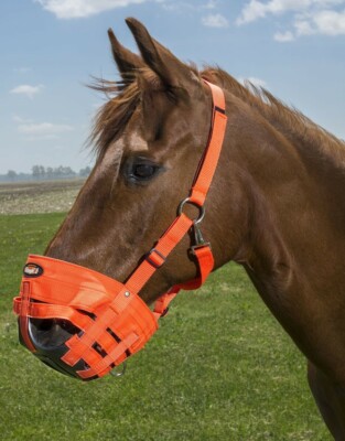 The Original Horse Grazing Muzzle - Black or Orange - 7 Sizes-image