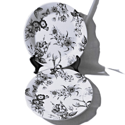 PIER 1 IMPORTS   BLACK & WHITE BOTANICAL SALAD PLATES  9” SETS OF 2  FLORAL-image