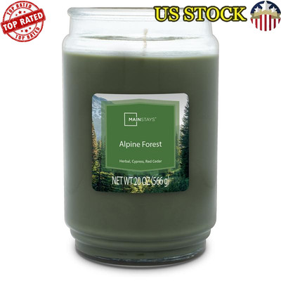Scented Glass Jar Candle Alpine Forest Aroma Clean Burn Relaxing Home Decor New-image