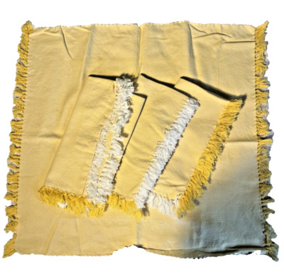 Pier 1 Imports Cloth Napkins Set of 4 20x20 Yellow With Fringe 100% Cotton India-image