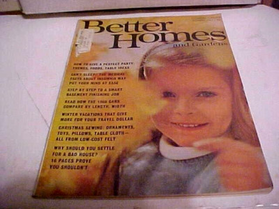 Better Homes And Gardens November 1965 1960'S STYLES AND ADVERTISING-image