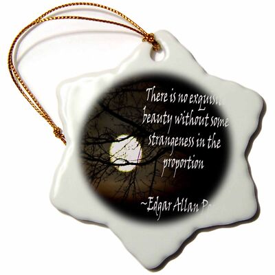 3dRose Edgar Allan Poe No Exquisite is a photo of the moon with a quote 3 inch S-image