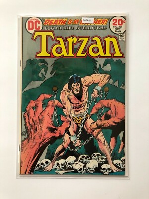 Tarzan #224  *Edgar Rice Burroughs*  [Fine] DC Comic Book MO4-107-image