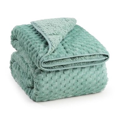 Super Soft Luxury Fleece Sherpa 20 lbs Weighted 60