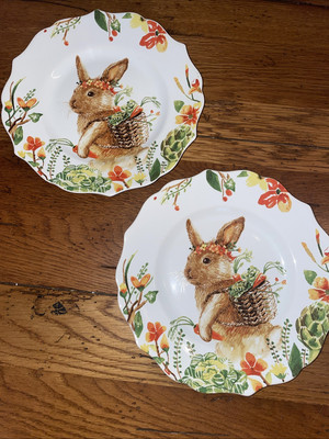 Pier 1 Imports Lilly Spring Bunny Rabbit Salad Plate 8.5”  Porcelain Set of 2-image