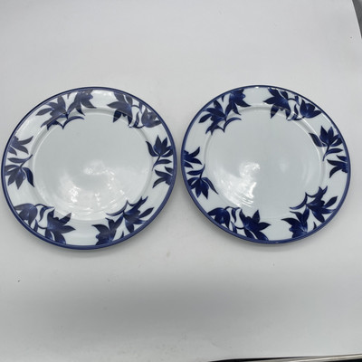 PIER 1 Blue & White Ming Dinner Plates Set of 2-image