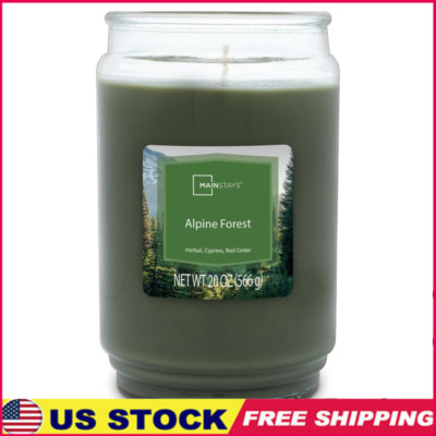 Alpine Forest Scented Candle Glass Jar Single Wick Herbal Aroma Clean Burn 100h-image