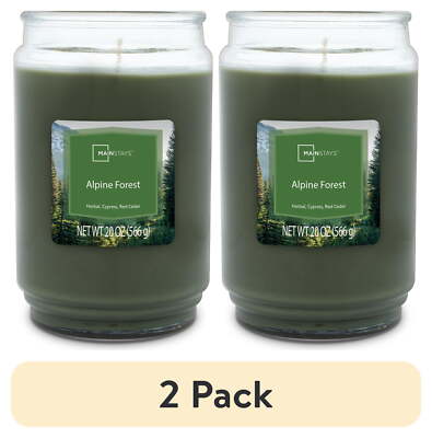 (2 Pack)  Alpine Forest Scented Single-Wick Glass Jar Candle, 20 Oz-image