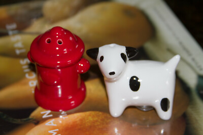 Dog & Fire Hydrant Salt and Pepper Shaker Set (90187) Design Imports-image