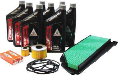 2016-2024 Honda Pioneer 1000 1000-5 EPS LE OEM Complete TUNE UP sxs1000 3P 5P 6P-image