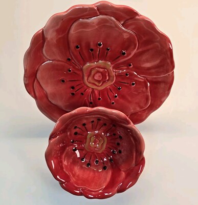 Pier 1 Imports Dolomite Red Poppy Plate 8