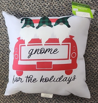 MAINSTAYS OUTDOOR PILLOW 16x16x5-image