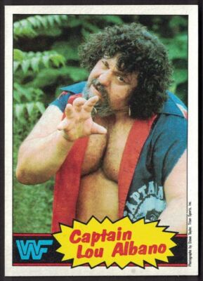 1985 Topps WWF WWE Pick & Choose - Discounts on Multiple - All NM-Mint-image