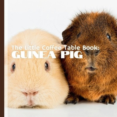 MEHCO by Design Mehco Desig The Little Coffee Table Boo (Paperback) (UK IMPORT)-image