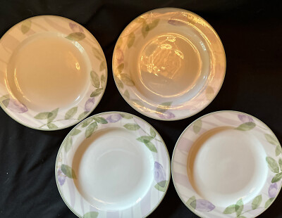 Pier One Set of 4 “AMBROSIA” Porcelain Dinner Plates 11