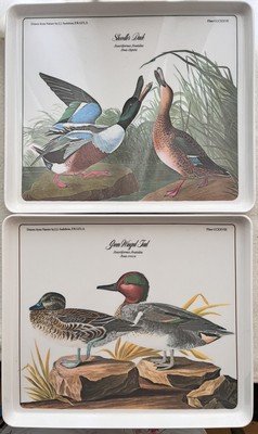 Lot of 2 VTG Audubon Melamine Trays 12”x10” Ducks Teals Italy Design Imports EUC-image