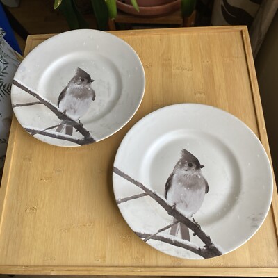 Pier 1 Titmouse Winter Snow Forest Bird Salad Dessert Plates Set Of 2-image