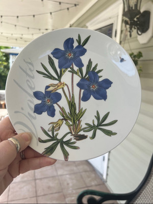 Pier 1 Assorted Flower Salad or Appetizer Plate Set Garden Tea Party Set of 4-image