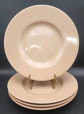 Set of 4 Pier 1 Imports 11