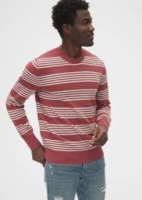 GAP Mainstays Crewneck Sweater Barn Red Stripe 100% Cotton All Seasons Mens Sz M-image
