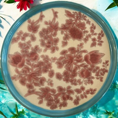 Pier 1 Import Pizza Plate Platter Ceramic Stoneware Floral Print Pink & Blue-image