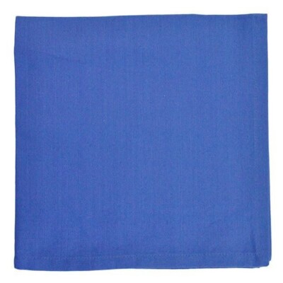 Cotton Table Cloth Napkin - Blueberry Blue 20 Inch x 20 Inch from Design Imports-image