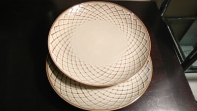 2- Pier 1 Reactive Geometric Spiral Design dinner plates-image