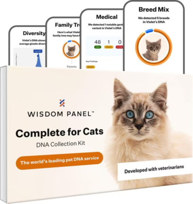 Wisdom Panel Health Complete: Comprehensive Cat DNA Test Kit-image