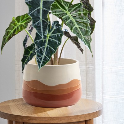 Mainstays 6 inch Red Ombre Ceramic Planter-image