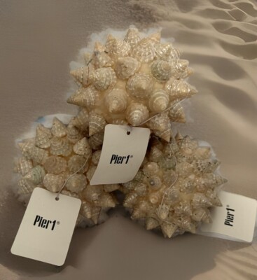 PIER 1 Imports SEASHELL Sphere Ball Orbs SET -Of-3 Natural Decor Coastal Pool-image