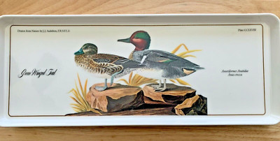 Green Winged Teal Mallard Duck 15