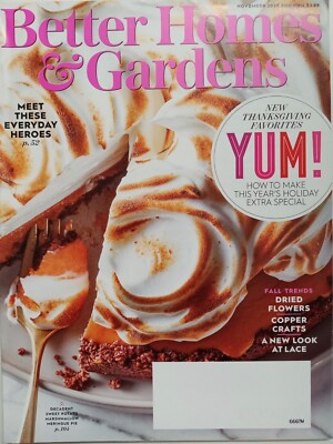 Better Homes & Gardens Magazine November  2020. Never Read NIP!-image