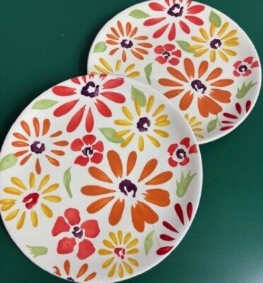 Pier 1 Imports Earthenware Dinner Plates (2) Flowers Pattern Retro Colorful-image