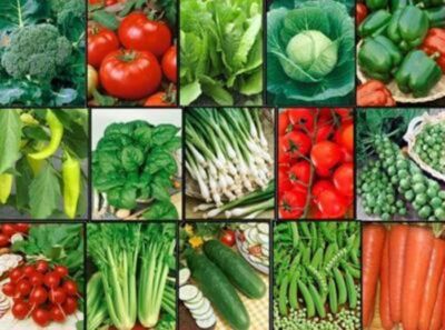 Vegetable FAVORITES Garden Lot ~ 15 Varieties ~ Over 1,625 Fresh Seeds ~ NON GMO-image