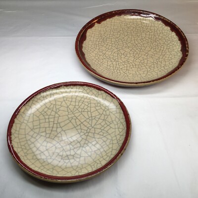 Pier 1 Crackle Collection 9.5